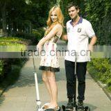 Chic-ls Two Wheel Stand up Electric Bike