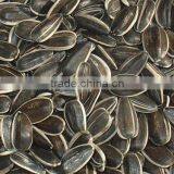 Sunflower Seeds 5009 thumbnail-2