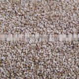 Safflower Seed thumbnail-1