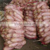 Fresh Raddish thumbnail-4