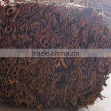 Cassia Whole Pressed thumbnail-1