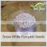 Inner Mongolia Best Quality Snow White Pumpkin Seed thumbnail-6