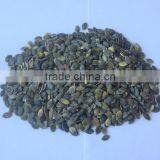 China Organic Pumpkin Kernels Grow Without Shell for Oil Use thumbnail-1