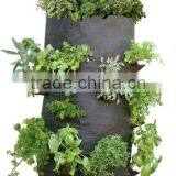 Strawberry Plant Bag thumbnail-1