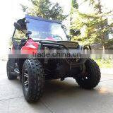 Chinese Utv 2x4 thumbnail-1