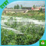 Best Selling Anti-bird Net, Professional Bird Net,Capture the Mist Net thumbnail-5