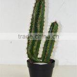 SJ3001105 Artificial Plant Cactus Home Decoration thumbnail-1