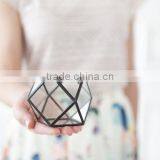 Gardening Gift Cuboctahedron Cactus Planter Geometric Glass Terrarium thumbnail-1