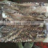 High Quality Wholesale Frozen Vietnam Squid With Best Price thumbnail-1