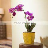 Decorative Household&garden Plastic Flower Pot thumbnail-2