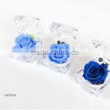 Top Quality Chinese Factory Wholesale Wreath Fresh Preserved Flowers Rose For House Office Decoration thumbnail-2
