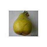 Artificial Vegetable thumbnail-1