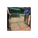 PVC/Galvanized Gabion Box Supplied By Zhaoxin