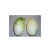 Artificial Vegetable & Chinese Cabbage thumbnail-1