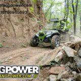 China Cheap Price Gasoline Engine 2 Seater Golf Buggy Utility Vehicle for Sale thumbnail-1