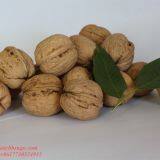 2020 The Best New Crop Liaoxi Walnut Inshell thumbnail-3