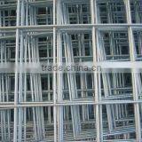Good Welded Wire Mesh ( Factory ISO & SGS)
