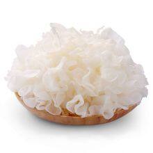 Tremella Fuciformis Extract Polysaccharides 30%, Snow Fungus Extract, White Fungus Extract, Tremella Extract, white jelly mushroom Extract