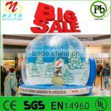 Frozen Themed Inflatable Snow Globe, Indoor Blow up Globe With Olaf Inside