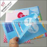 Office Toys High Quality Popular A4 Plastic File Folder Wholesale