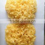 DRIED WHITE FUNGUS thumbnail-1
