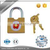 Colorful Plastic Covered Stainless Steel Padlock Manufacturer in China thumbnail-3