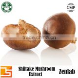 low price 100% natural chinese shitake mushroom extract