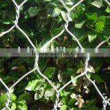 G.I Chicken Wire Netting Chicken Coop Wire Netting