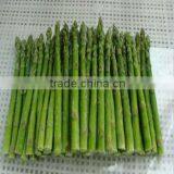 2016 new season frozen green asparagus