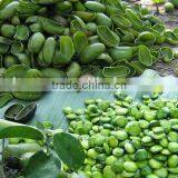 CAS No. 56-69-9 Griffonia Simplicifolia Seed Extract P.E. 98% 5-HTP thumbnail-2