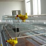 Best quality quail breeding cage/automatic quail cage with best price