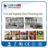 2016 hot sell fruit and vegetable chips making machine