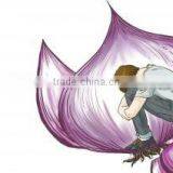 Автоматическая машина для очистки лука с сертификатом