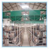 Chicken farm poultry equipment for sale( good quality,better price)