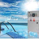 Global Sales Water Treatment Ozone Machine 20G For Swimming Pool