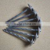 Electro Galvanized 2.5 Inch Screw Shank Twisted Roofing Nail thumbnail-3