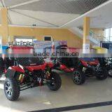 Best Tourist Buggy Renli Chery Engine 800cc for Sale thumbnail-2
