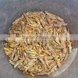 Dried Grasshopper for Birds thumbnail-5