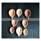 Terracotta Diyas thumbnail-1