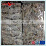 BQF Baby Squid Block Frozen thumbnail-2