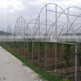 Agricultural Greenhouses For Soilless Hydroponics thumbnail-2