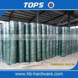 China Low Carbon Hot Dipped 1/4 Inch Galvanized Welded Wire Mesh thumbnail-1