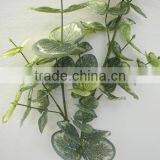 Foshan Wholesale Artificial Eucalyptus Green Plants for Interiors thumbnail-4
