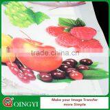 Qingyi Screen Printing Show Custom Plastisol Heat Transfer Sticker thumbnail-4