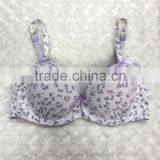 OEM Type Girl Range Bra and Brief Set With Push up Padded 2016 New Arrival thumbnail-3