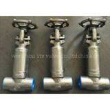 Welding Forged Bellows Gate Valve thumbnail-1
