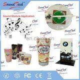 ICTI Certrification Supplier Water Proof Sound Module