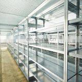 Galvanized Slotted Angle Iron ms Steel Angle Bar Angle Steel for Structure Project thumbnail-7