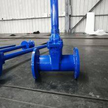 DIN Extension Spindle Resilient Seated Gate Valve thumbnail-2