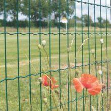 Holland Welded Wire Mesh for Factory Fencing thumbnail-3